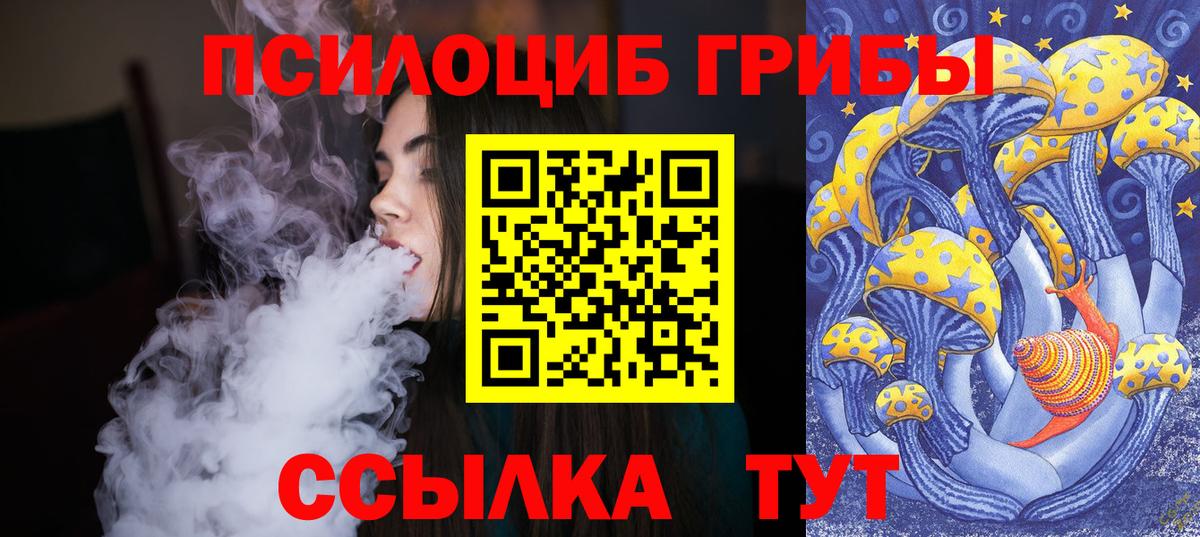 Псилоцибиновые грибы Psilocybe  Псилоцибиновые грибы Psilocybe  Вход с VPN  Лянтор 